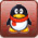 QQ: 2507315456